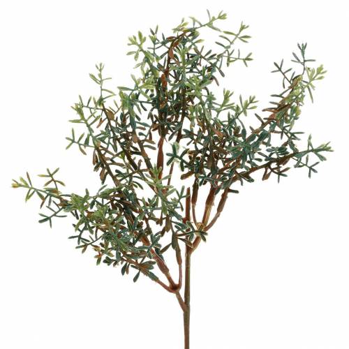 Floristik24 Thyme pick artificial green 26cm 6pcs