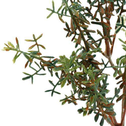 Floristik24 Thyme pick artificial green 26cm 6pcs