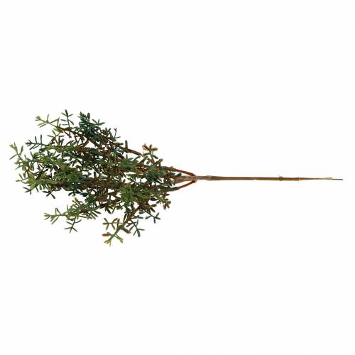 Floristik24 Thyme pick artificial green 26cm 6pcs