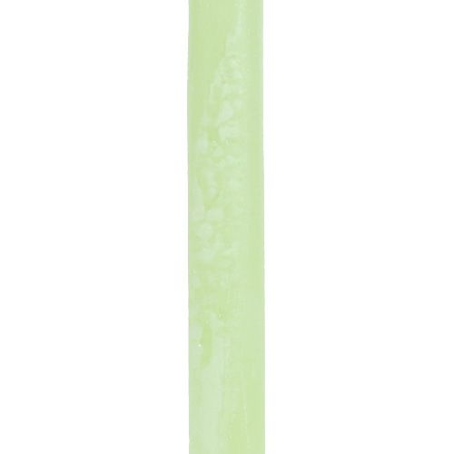 Product Taper candles coloured lime green​​​​​​​ 21×240mm 12 pcs