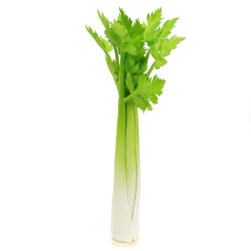 Floristik24 Artificial celery Real-Touch 28cm