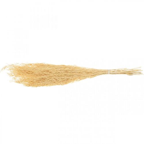 Floristik24 Dried Sea Lavender Cream Statice Dry Deco 100g