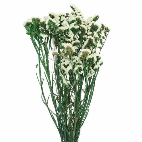 Floristik24 Bunch of dried flowers sea lavender white 40–55cm 120g