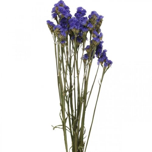 Floristik24 Bunch of Sea Lavender, Dried Flowers, Sea Lavender, Statice Tatarica Blue L46–57cm 23g