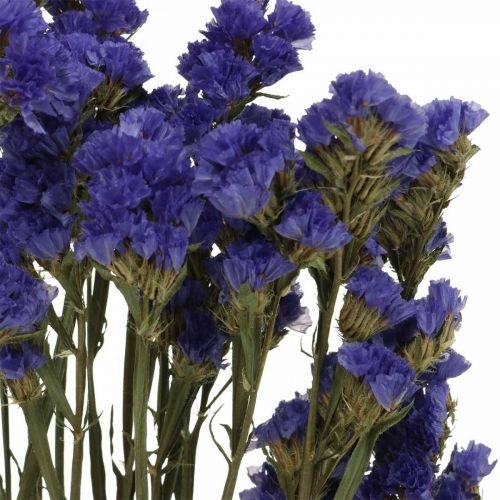 Floristik24 Bunch of Sea Lavender, Dried Flowers, Sea Lavender, Statice Tatarica Blue L46–57cm 23g