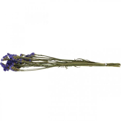 Product Bunch of Sea Lavender, Dried Flowers, Sea Lavender, Statice Tatarica Blue L46–57cm 23g
