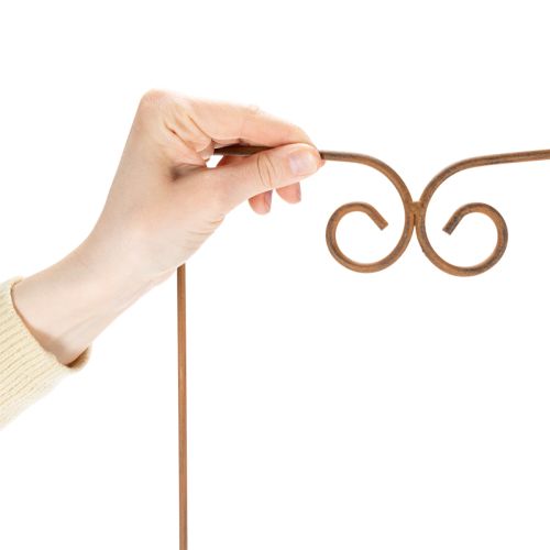 Product Trellis, climbing aid, curved decorative element for flower beds and plant pots, 75cm