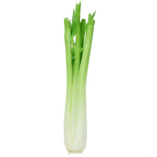 Floristik24 Celery decoration 34cm