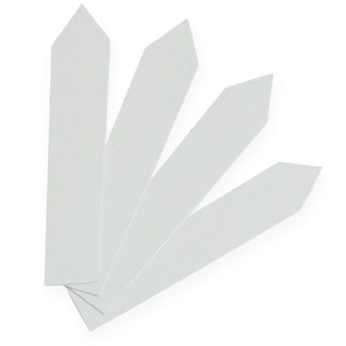 Floristik24 Stick-in labels 20mm x 140mm 250 pieces