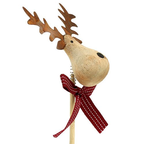 Floristik24 Plug Moose Nature, White 7cm L30cm 8pcs