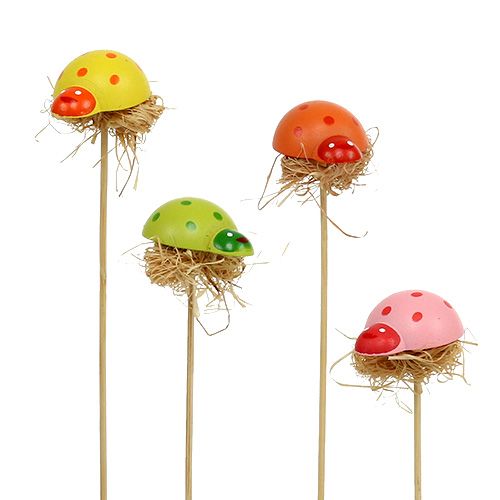 Floristik24 Decorative plug ladybug wood spring decoration flower pot 36pcs