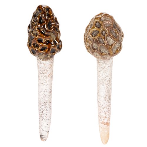 Artificial morel mushroom decorative stake for plant pots and table, 13cm, 2 pieces buy online | Floristik24.co.uk
