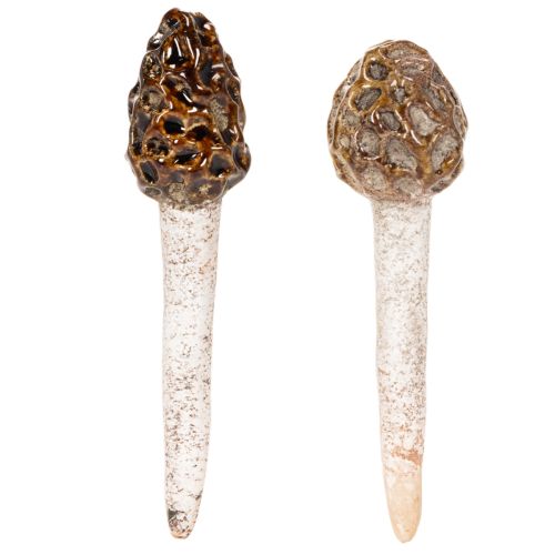 Artificial morel mushroom decorative stake for plant pots and table, 13cm, 2 pieces | Floristik24.co.uk