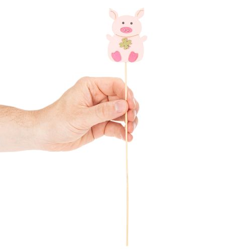 Wooden Pig Plant Sticks 31cm, Set of 16, Multicoloured Designs | Floristik24.co.uk