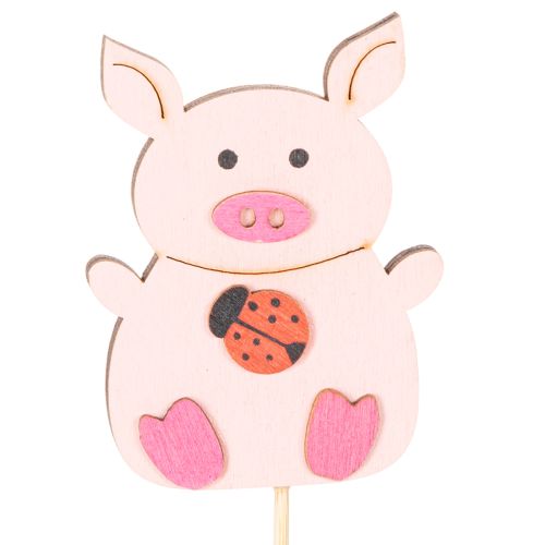 Wooden Pig Plant Sticks 31cm, Set of 16, Multicoloured Designs | Floristik24.co.uk