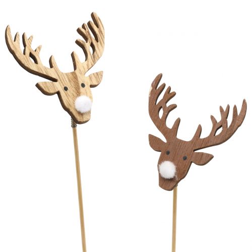 Floristik24 Plug reindeer nature, white 8.5cm L37cm