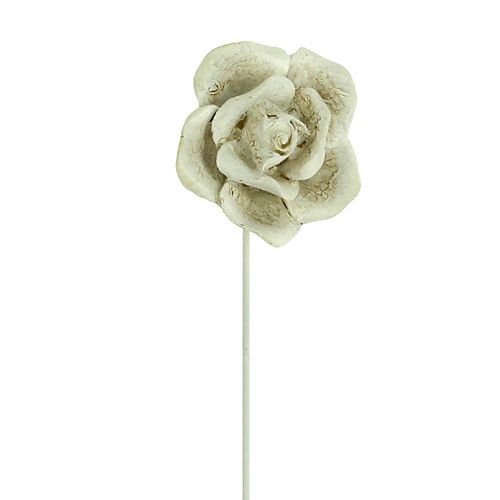 Floristik24 Plug roses sort. Ø5,5cm L19cm 4pcs