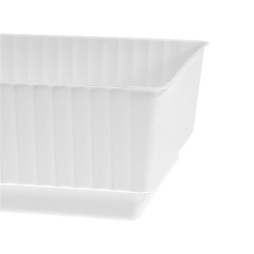 Product Socket bowl Lara 15cm x 8cm x 4cm 10pcs