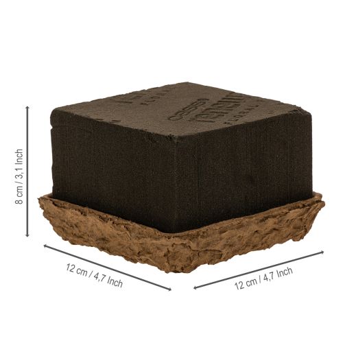 Product OASIS® Renewal® Floral Foam Biolit® Half Brick, Brown, 12 x 12 x 8 cm, 2 Pack