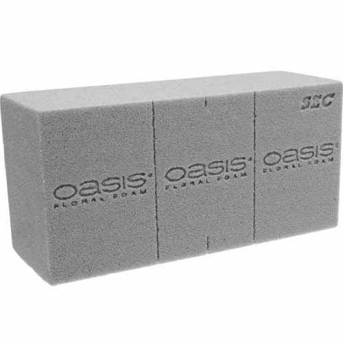 Oasis Smithers Floral Foam Deluxe - Foam Bricks - Craft Blocks - Foam for  Dry Flowers - Lightweight Green Foam - Florist Foam for Arrangements and  Decorations - 6 Pack