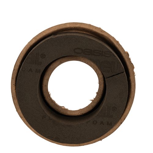 OASIS® Renewal® Biolit® Floral Foam Ring, 17 cm, 2 Pack for Floristry buy online | Floristik24.co.uk