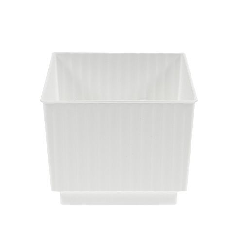 Floristik24 Insert cubes for floral foam 6.5cm white 20 pcs