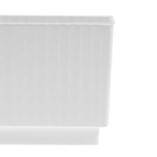 Floristik24 Insert cubes for floral foam 6.5cm white 20 pcs
