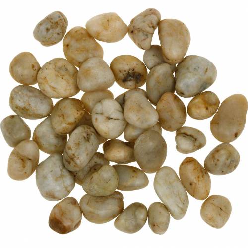 Floristik24 River pebbles natural cream 2-4cm 1kg