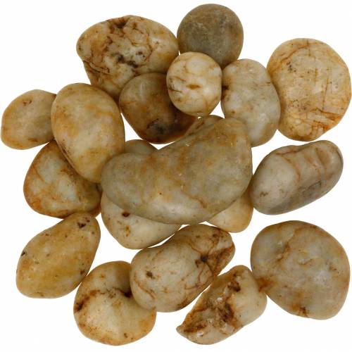 Floristik24 River pebbles natural cream 3-5cm 1kg