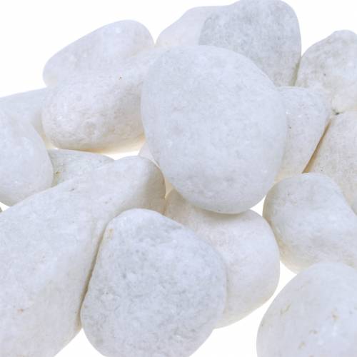 Floristik24 River Pebbles Natural White 3-5cm 1kg