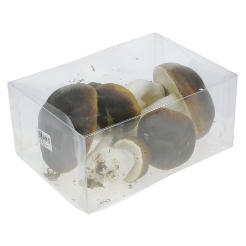 Floristik24 Porcini mushroom brown H8cm - 20cm 6pcs