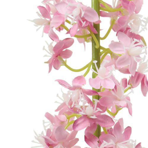 Product Desert tail steppe candle Rosa 106cm