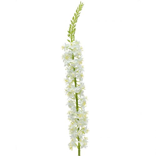 Floristik24 Desert tail white 106cm