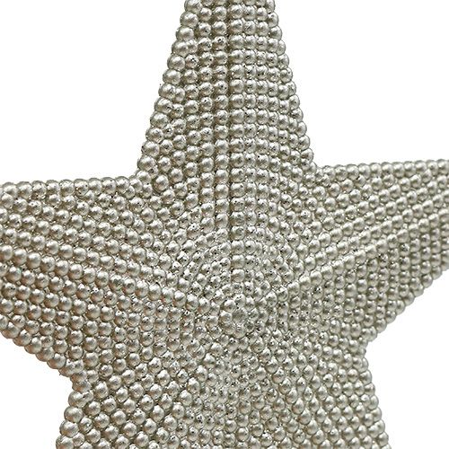 Product Star silver for hanging 11cm L19cm 6pcs