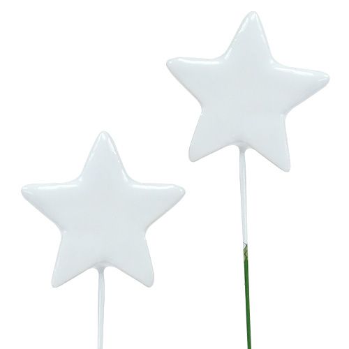 Floristik24 Star on wire 5cm white 48 pcs