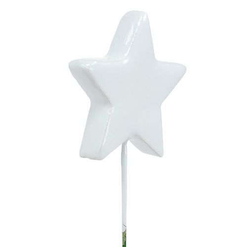 Floristik24 Star on the wire 5cm white 48pcs