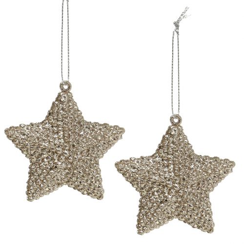 Floristik24 Star with mica champagne 7.5cm 12pcs