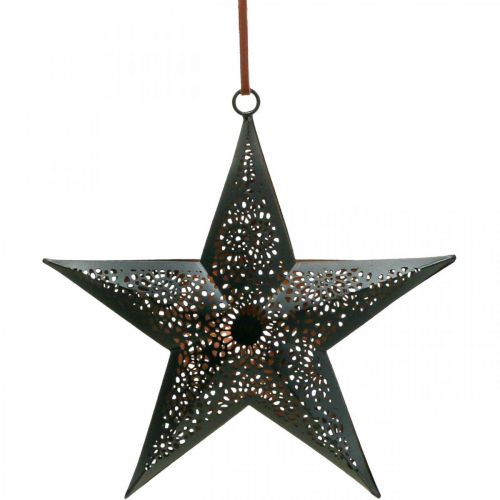 Floristik24 Christmas hanger Star Metal Star Black H19cm