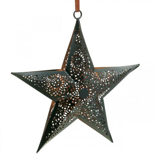 Product Christmas hanger Star Metal Star Black H19cm