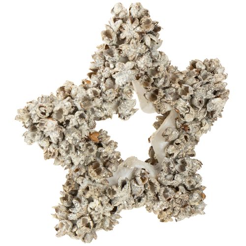 Product Star to hang up Christmas decoration white, glitter Ø15cm