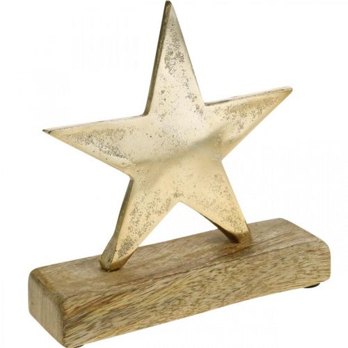 Floristik24 Decoration star, metal decoration on mango wood, Advent decoration W15cm