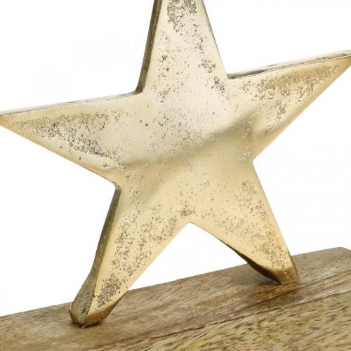 Floristik24 Decoration star, metal decoration on mango wood, Advent decoration W15cm