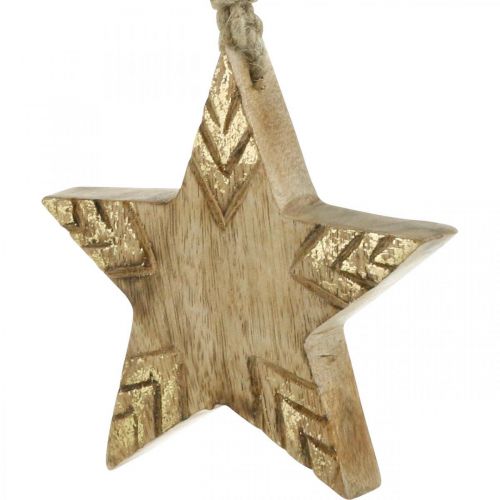 Floristik24 Star Mango Wood Natural, Golden Christmas Tree Decoration 12cm 4 pcs