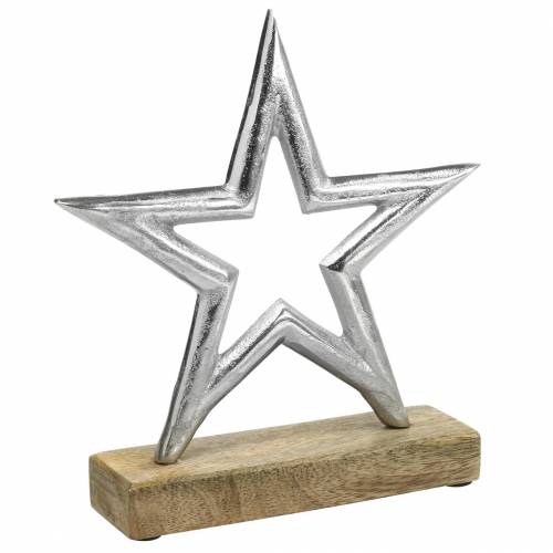 Floristik24 Star to set up Mango, metal silver 21 × 16.5cm