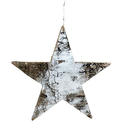 Floristik24 Stars made of birch bark white 29cm 3pcs