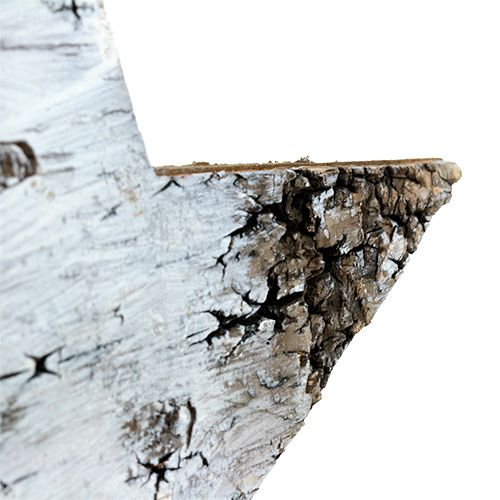 Floristik24 Stars made of birch bark white 29cm 3pcs