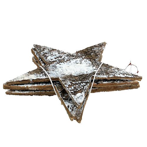 Floristik24 Stars made of birch bark white 29cm 3pcs