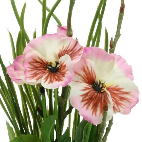 Floristik24 Pansy with moss ball pink 31cm
