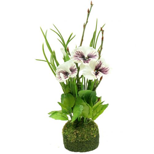 Product Pansy with moss ball white 31cm