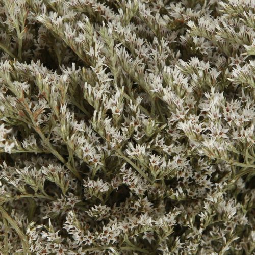 Product Sea lavender Statice Tatarica dried flowers natural 2kg